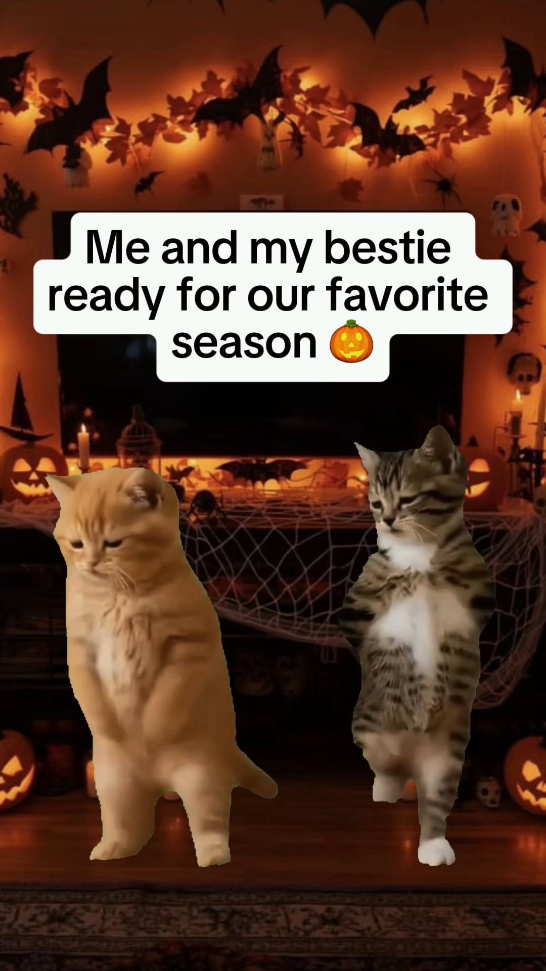 @Memestreamqueen