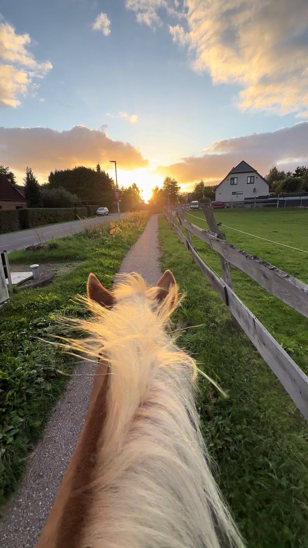 @herzenspferd_lucie❤️🥹