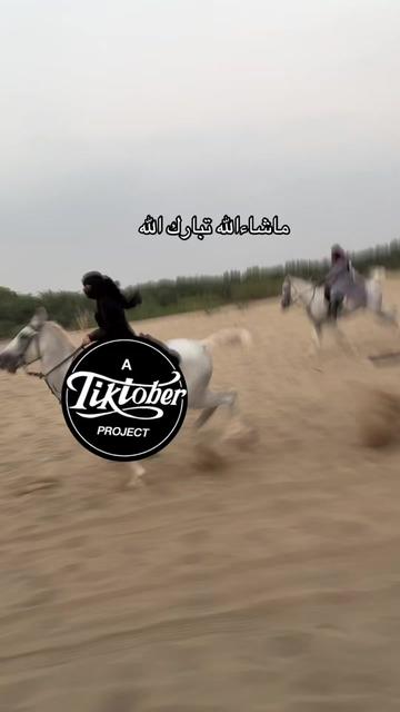 @Toly 🐎.