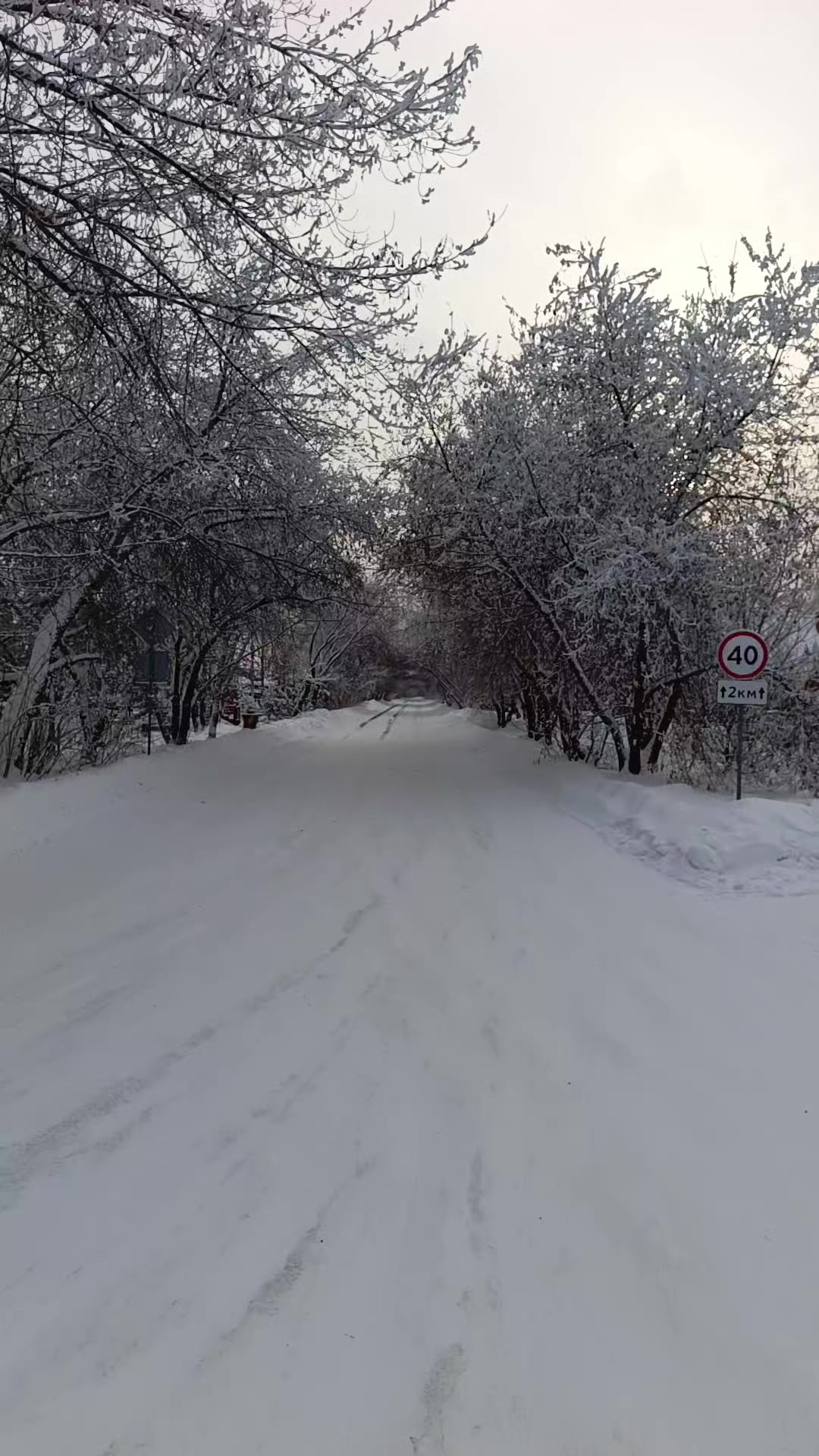 @Колек Медведников