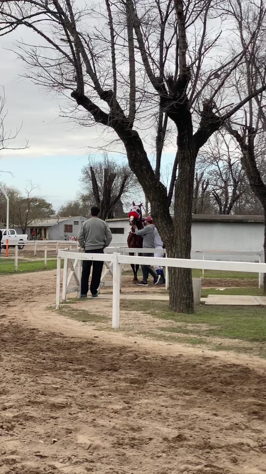 @Sofii Brito🏇🏽