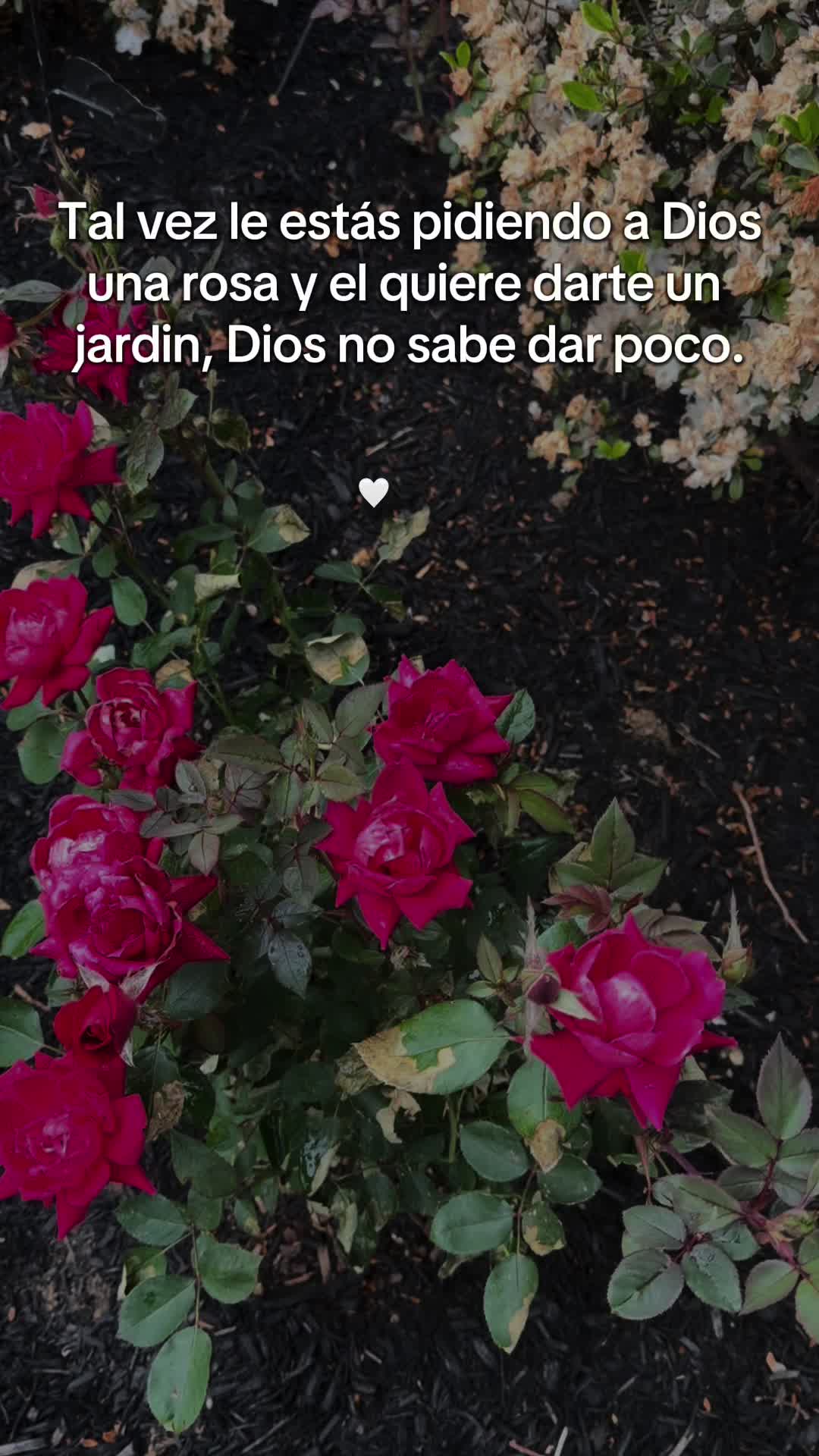 @M. Cris..