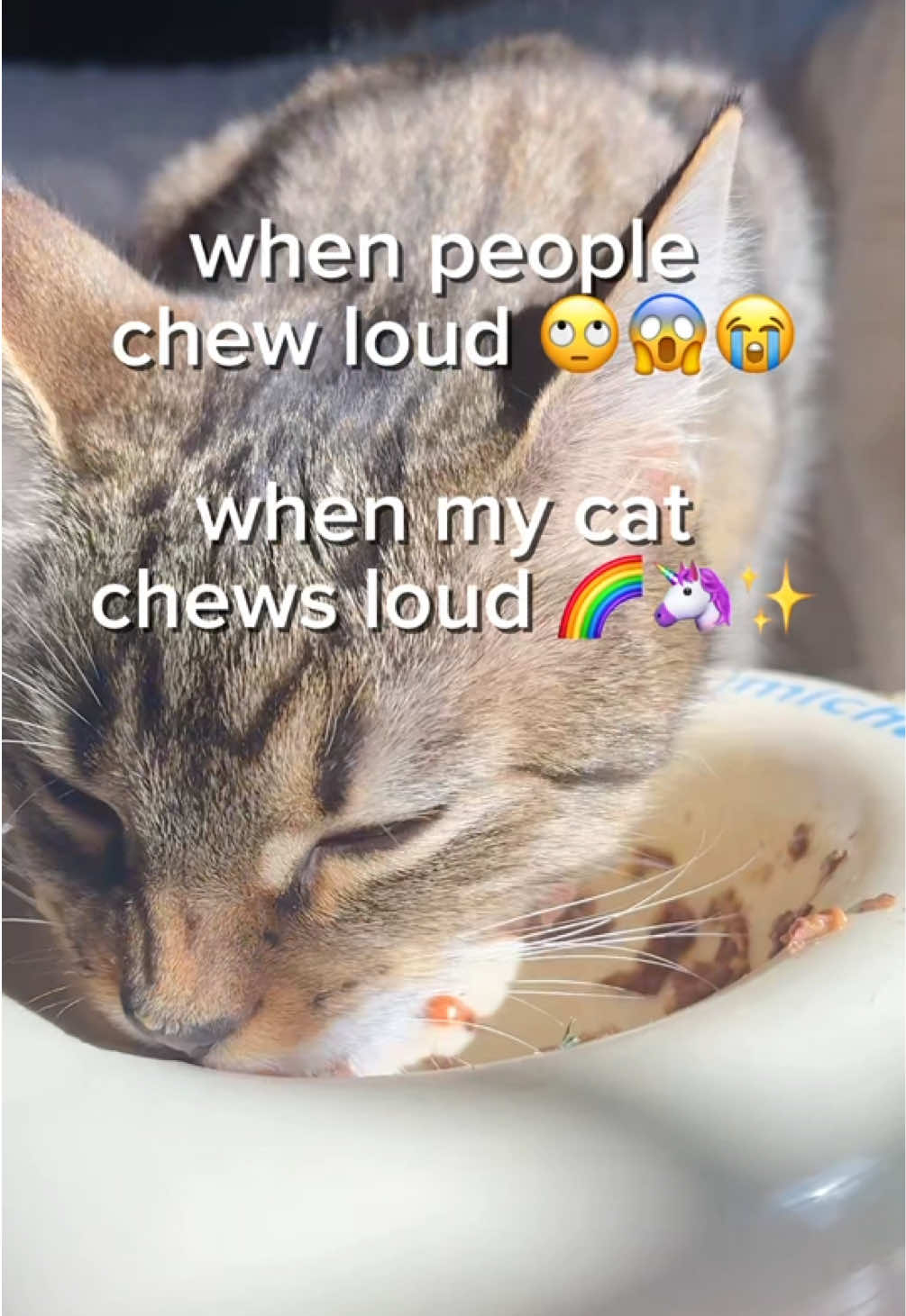 @Juno 💫🐈