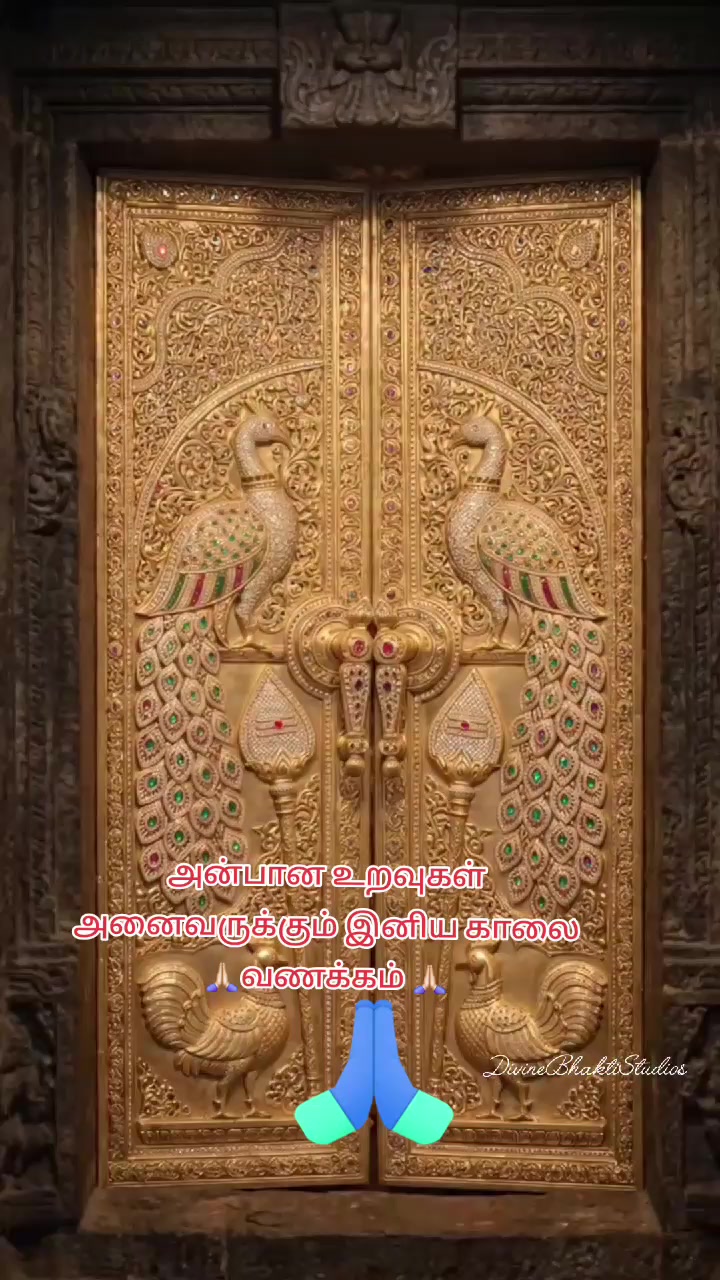 @ரோகிணி மா 🌹🌹🌹🌹🌹❤️❤️❤️🌹🌹