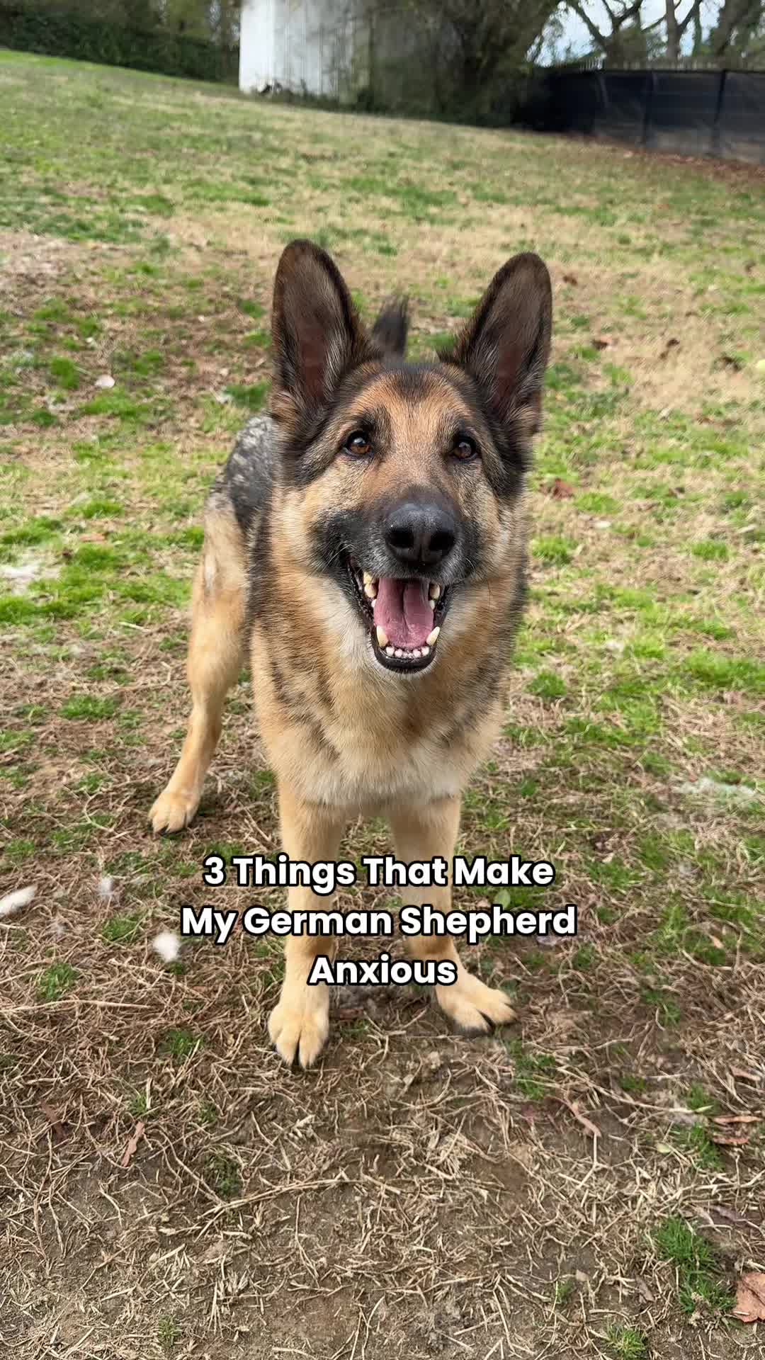 @Best Boy Benson