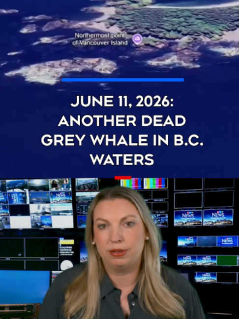 @CTV News Vancouver Island