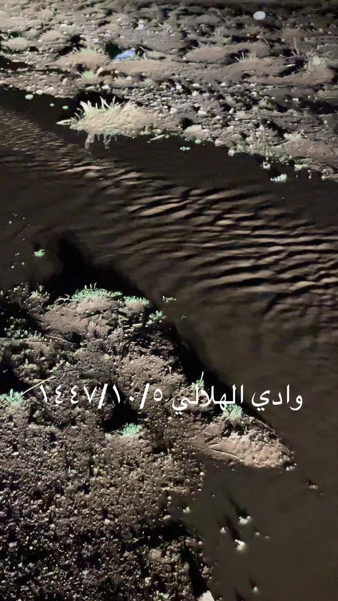 @احمد البلوي