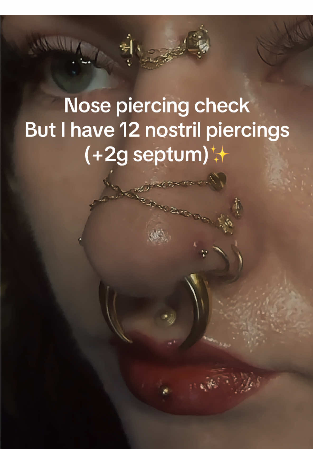 @piercingbyliz