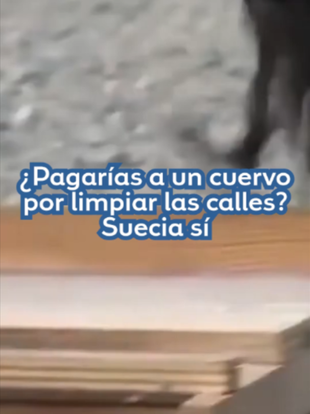 @petroleoyenergia