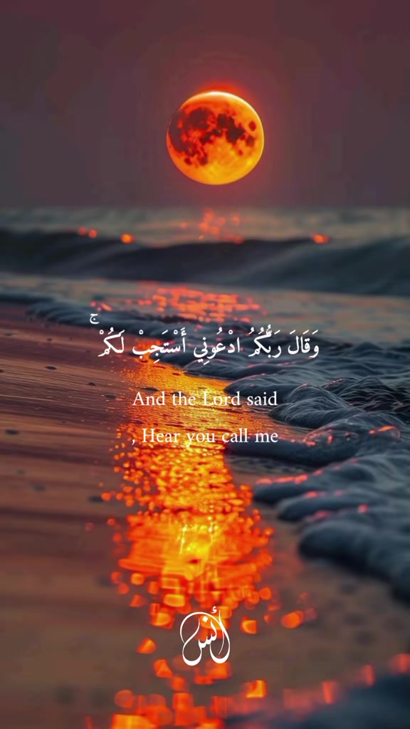 @لا اله إلا الله 💚🕊️