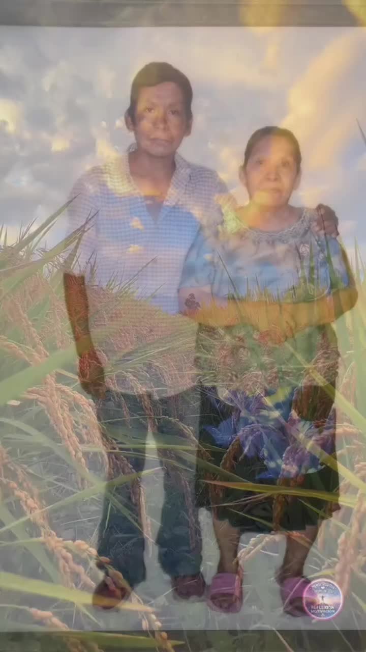 @user6745376462231