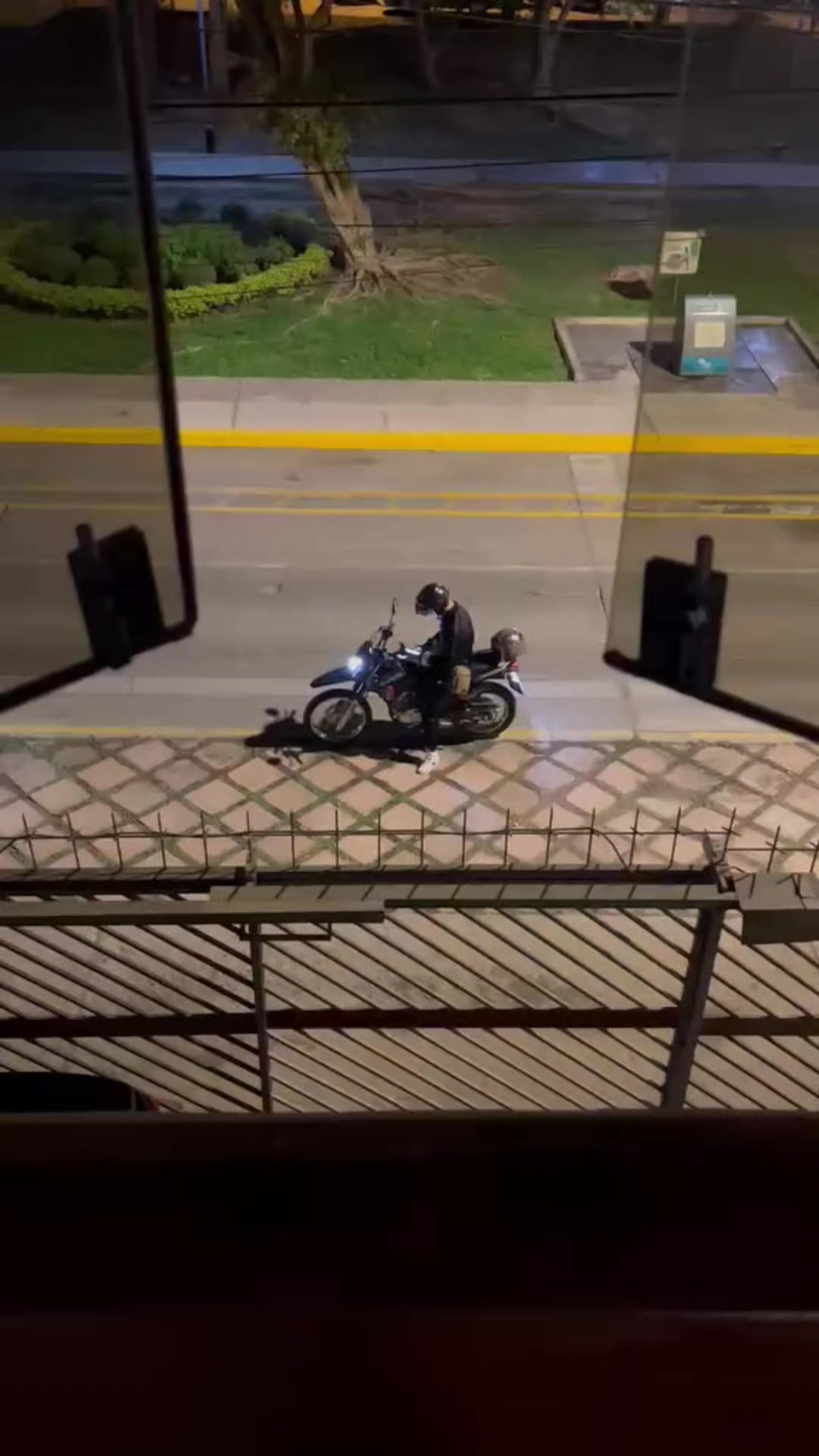 @José Zapata