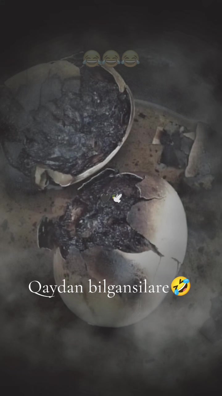 @꧁ঔৣ💔🅔'🅩🅞🅩🅐ঔৣ꧂