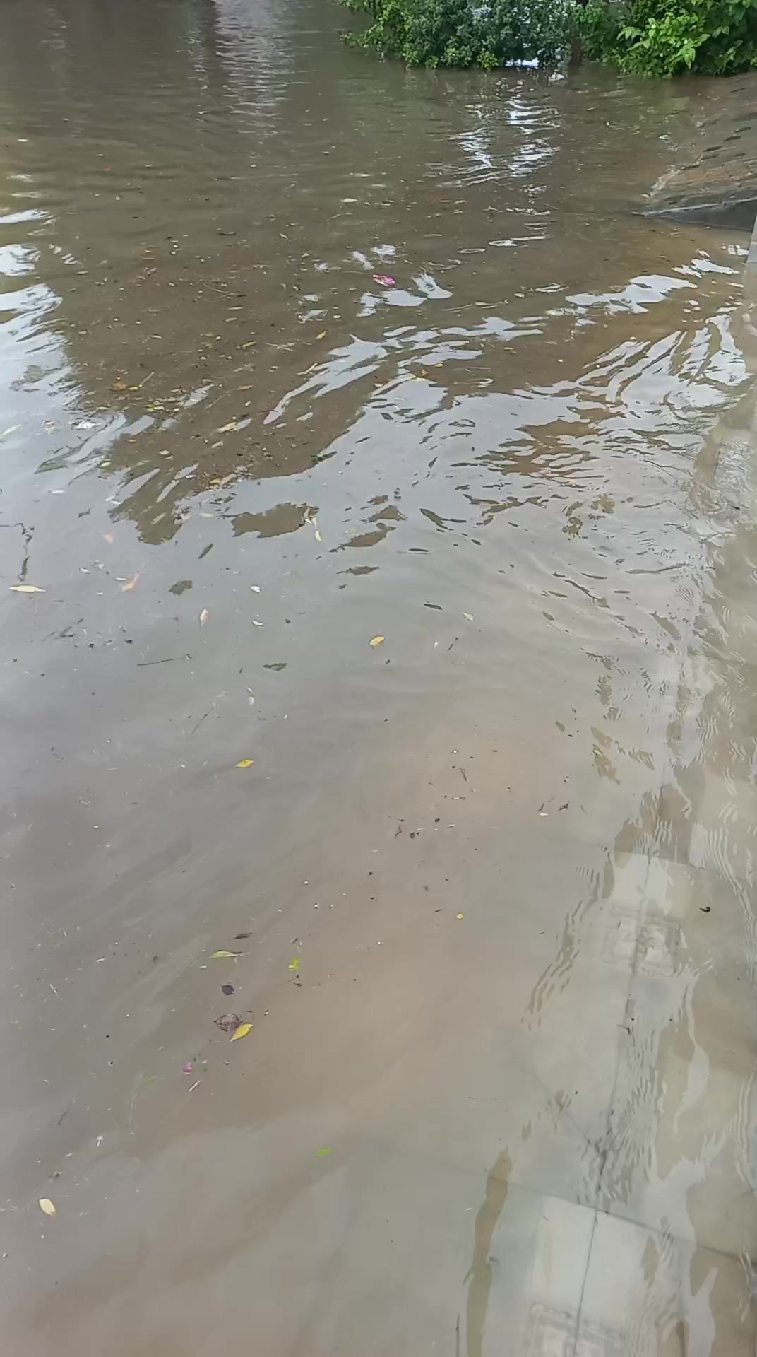 @Irfan laliya 🇵🇰