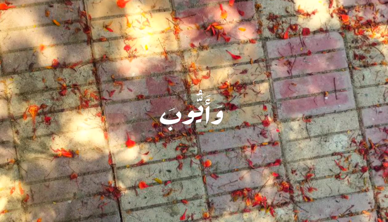 @•رَغــد•🦋