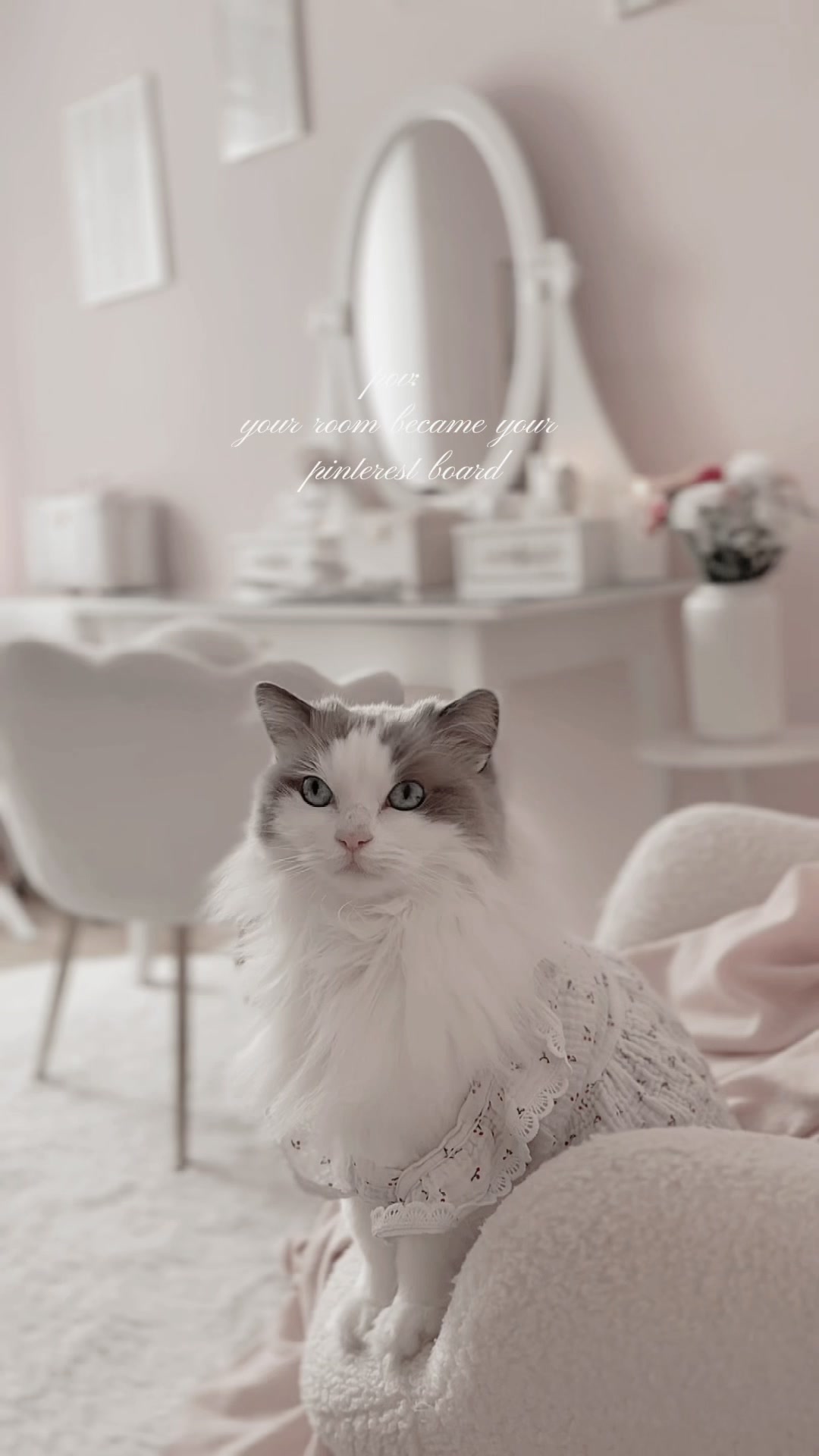 @𝓕𝓮𝓵𝓲 🩰
