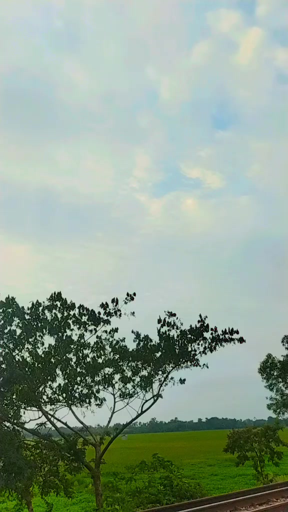 @🧒Md Emran Khah🌿💟