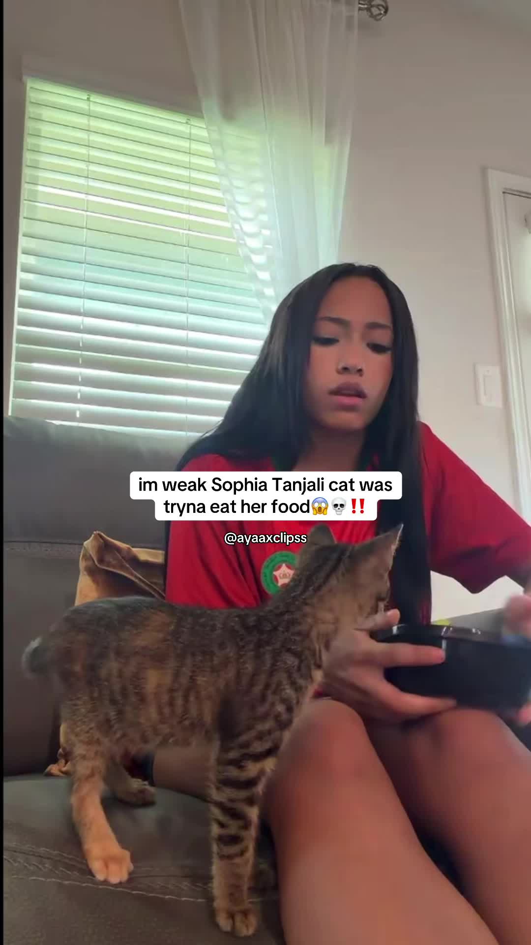 @ayaaxclipss