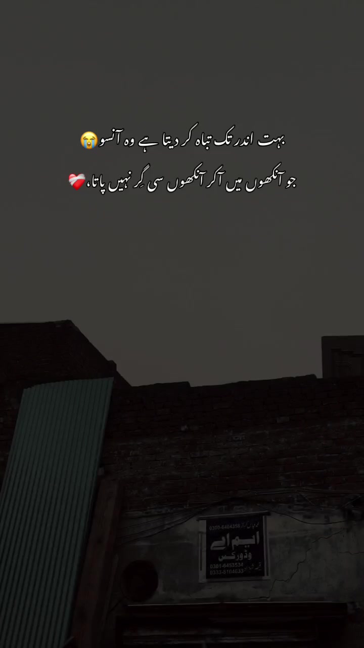 @>پاگل ہو <🦋