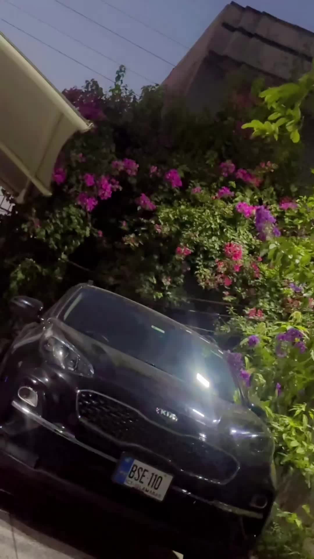 @Aliشhee✨