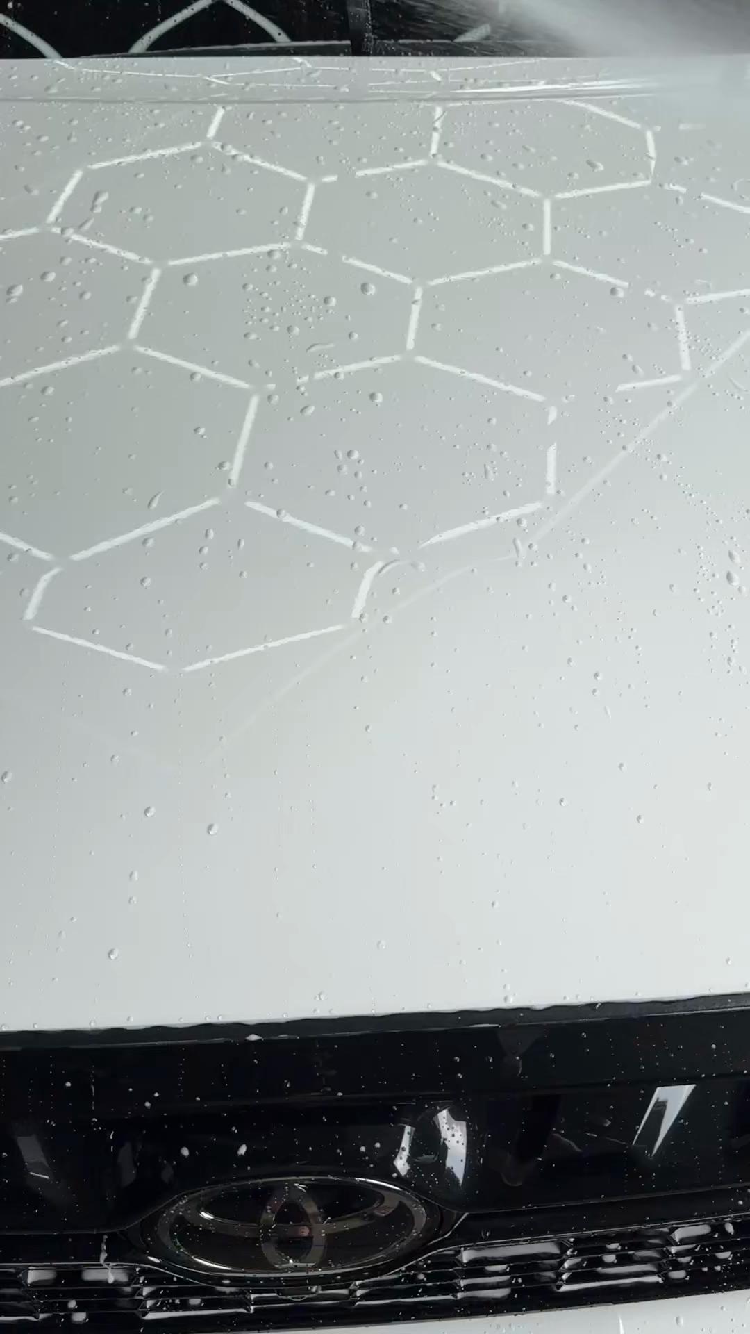 @邦尼洗車
