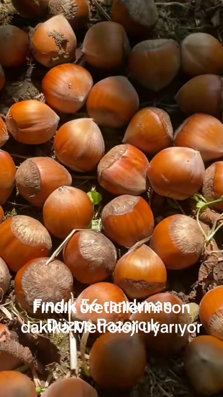 @Turan Çiçek