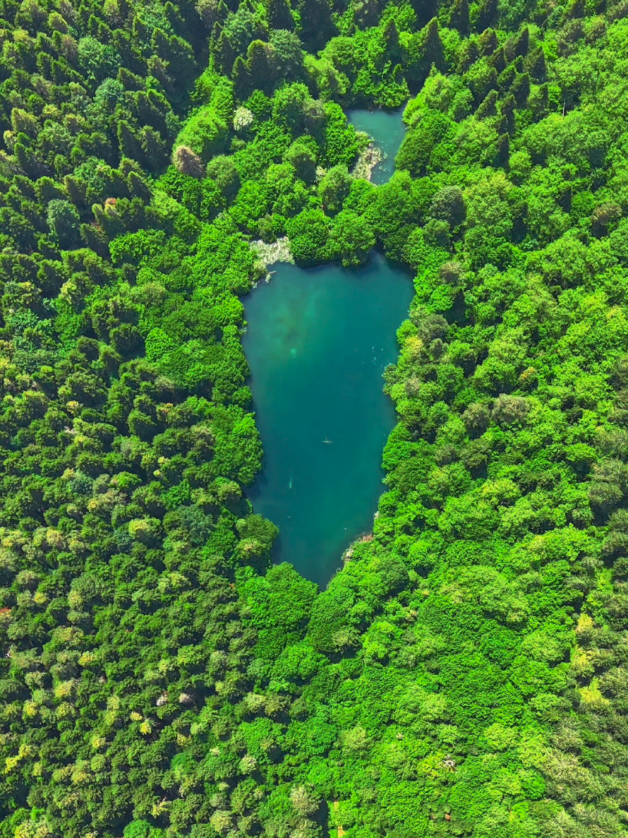 @Muhammed karakuş
