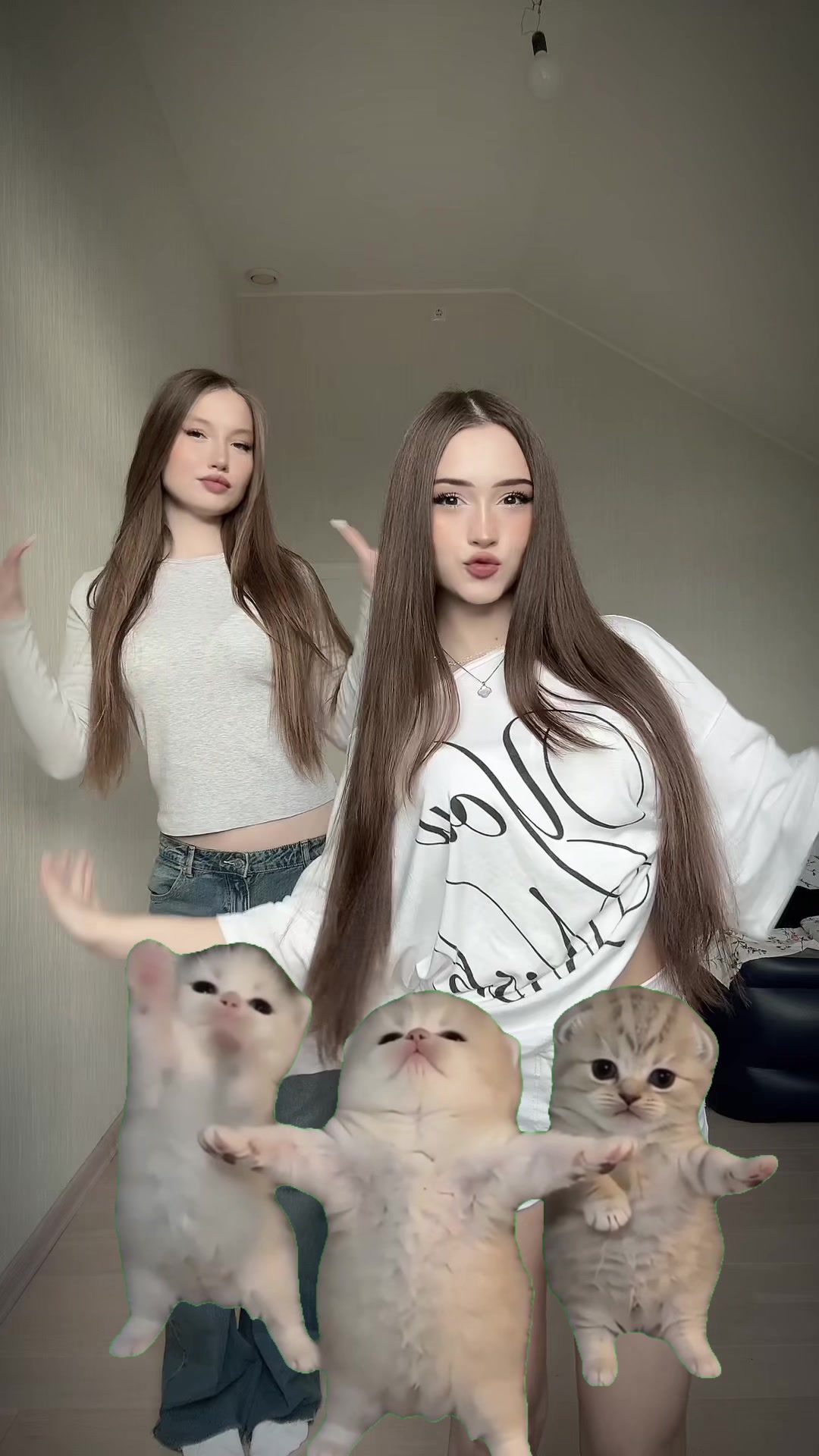 @тгк:секретный чатик🤍