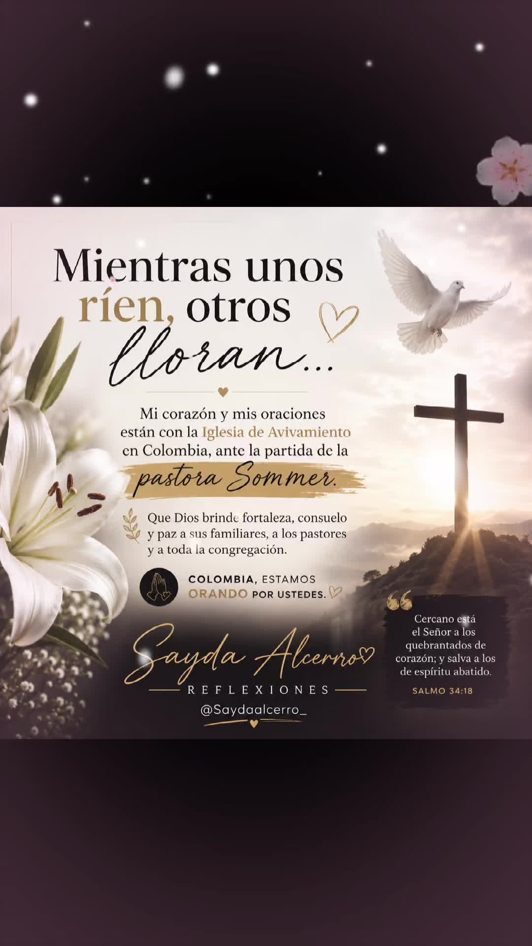 @saydaalcerro_