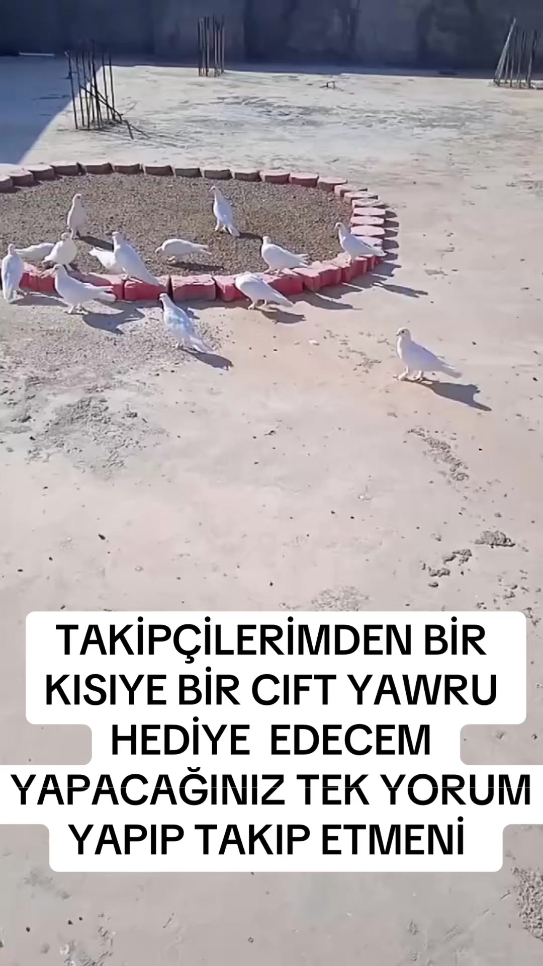 @47 argeş