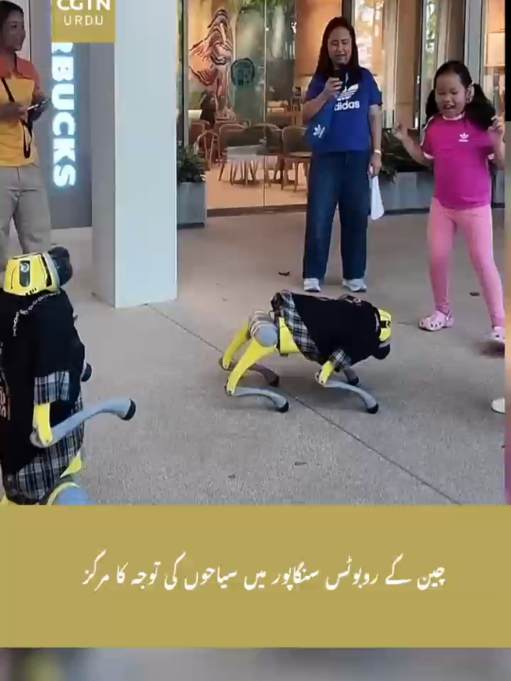 @CGTN URDU