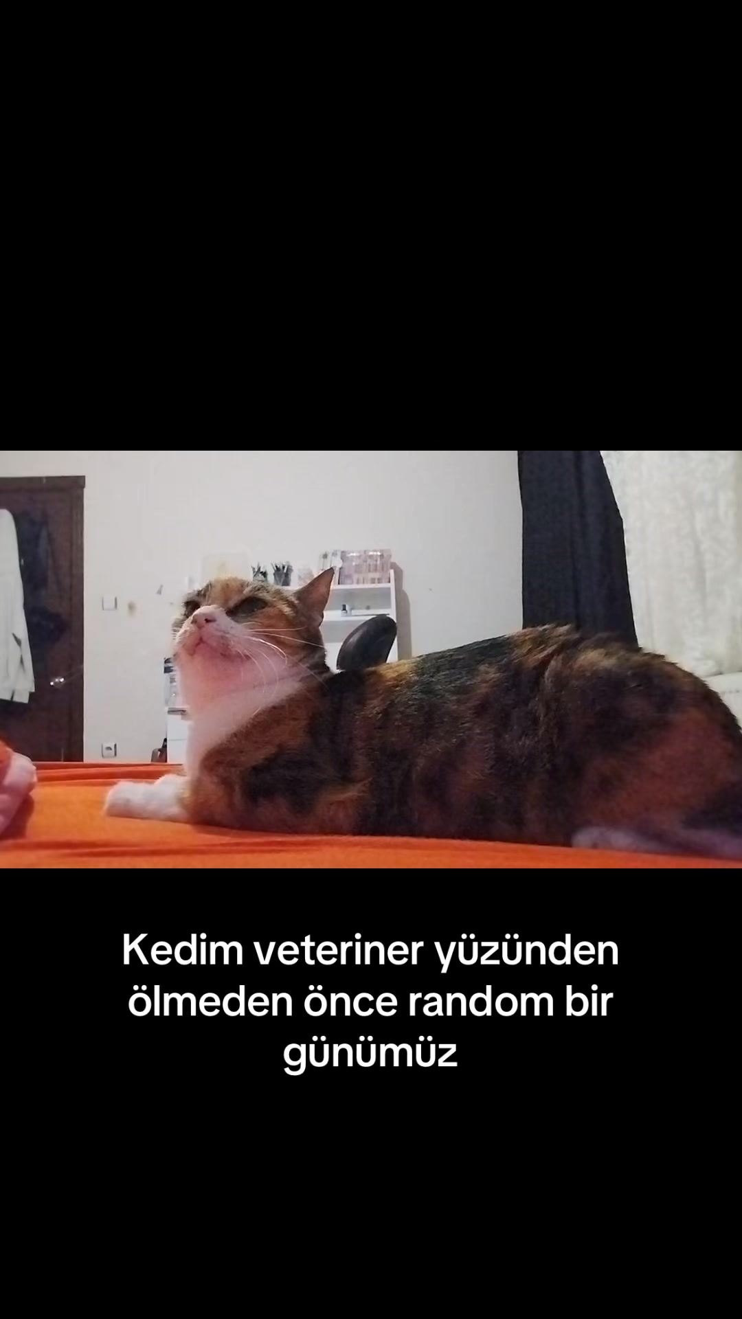 @Seraapp