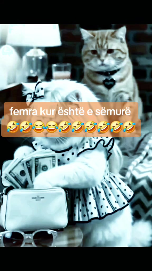 @VLORA 🦀
