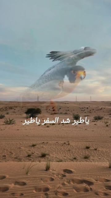 @حساب قناة عابر سبيل♧( الرسمي)