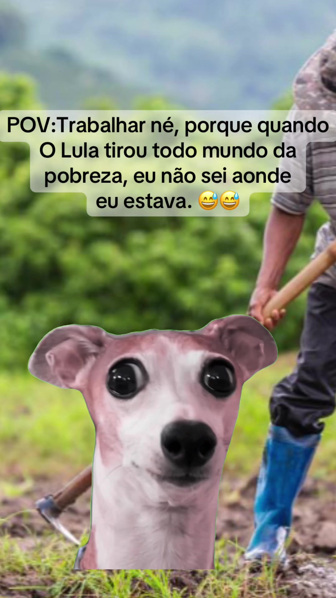 @Garimpei pra você