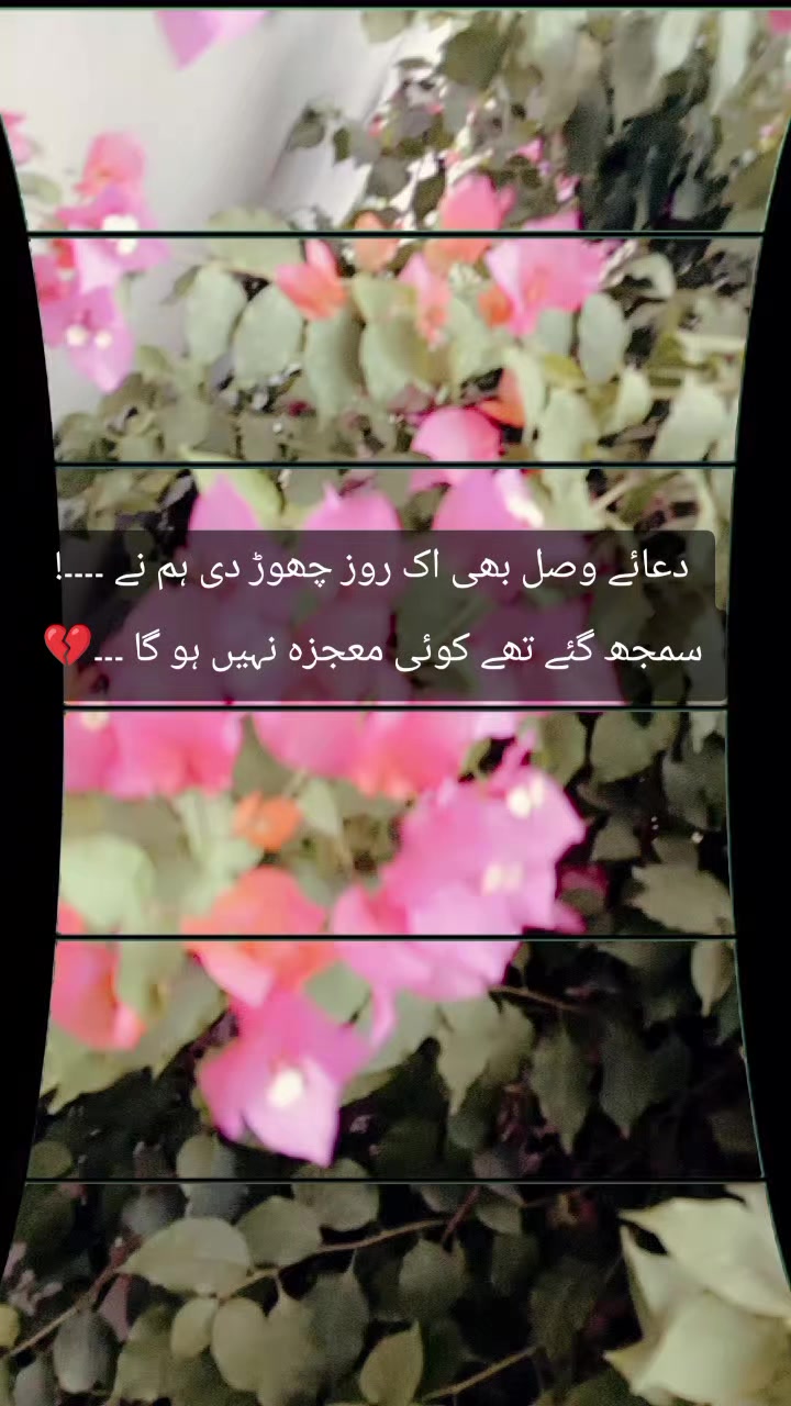 @um Abdulhadi