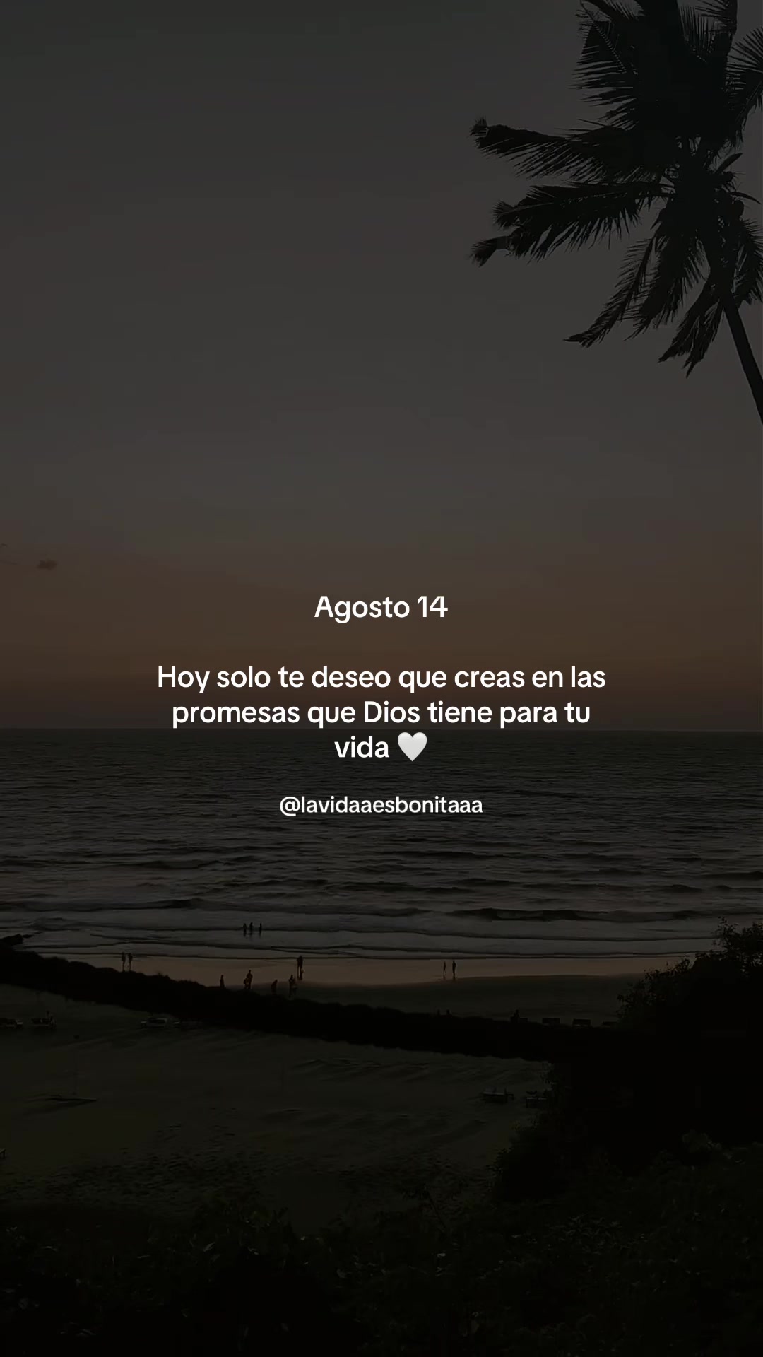 @vidabonita❤️🩹