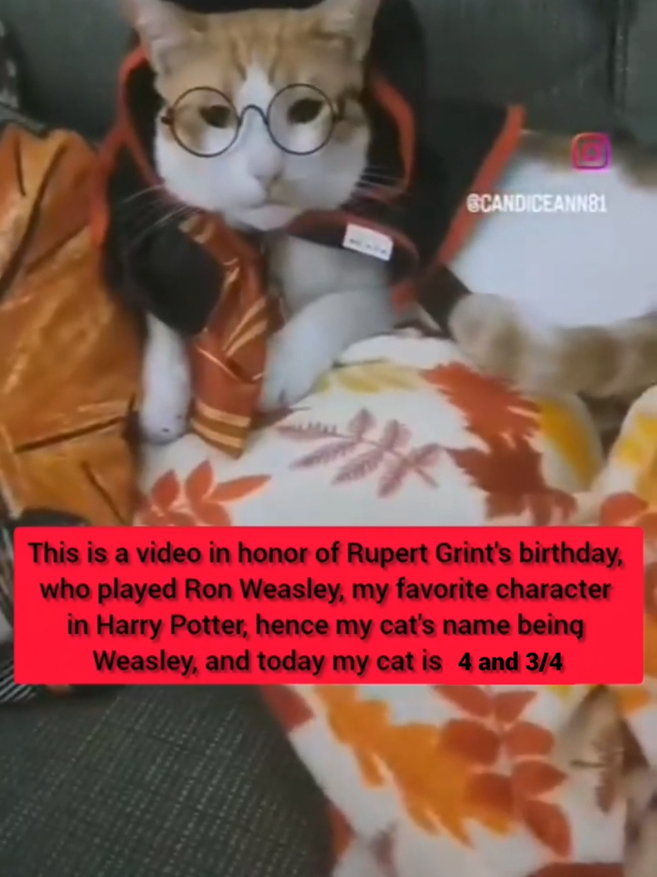 @Candice & Weasley