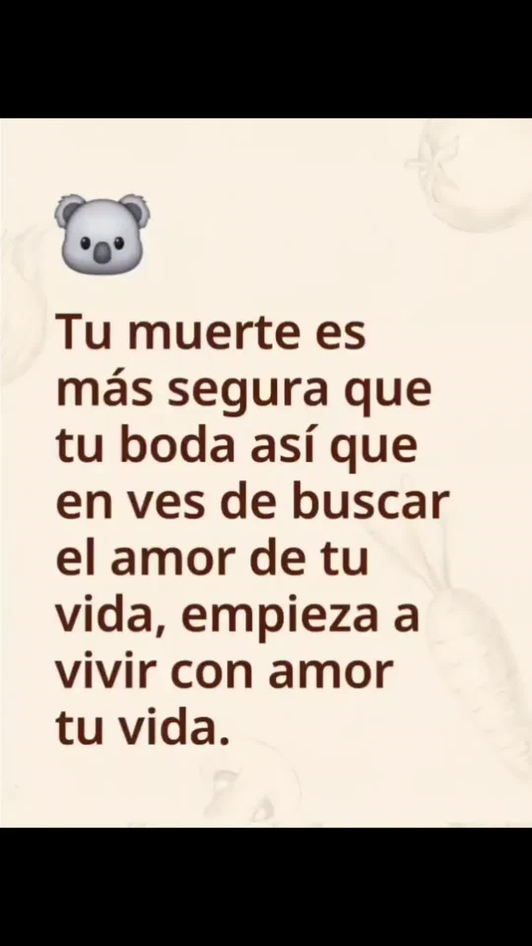 @el panda solitario