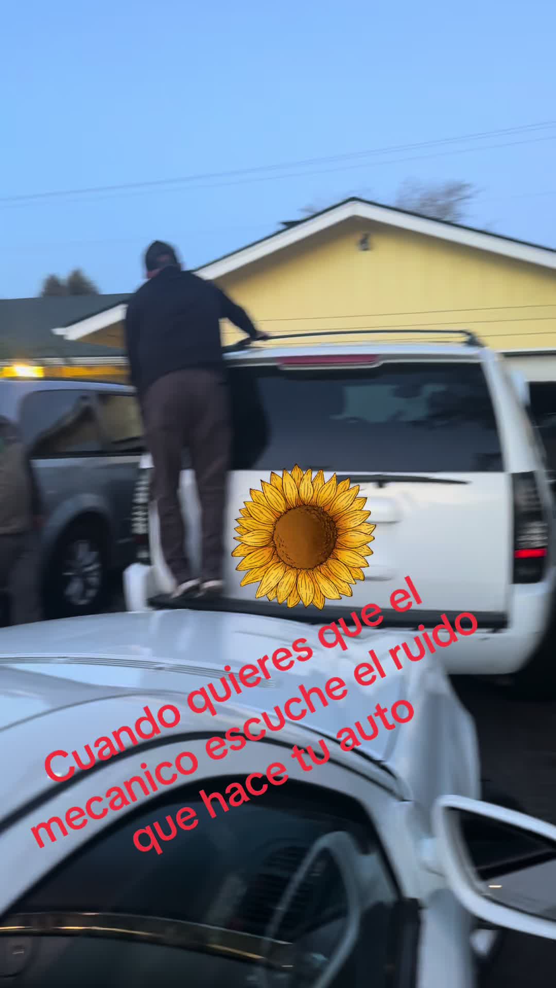 @Lizbeth
