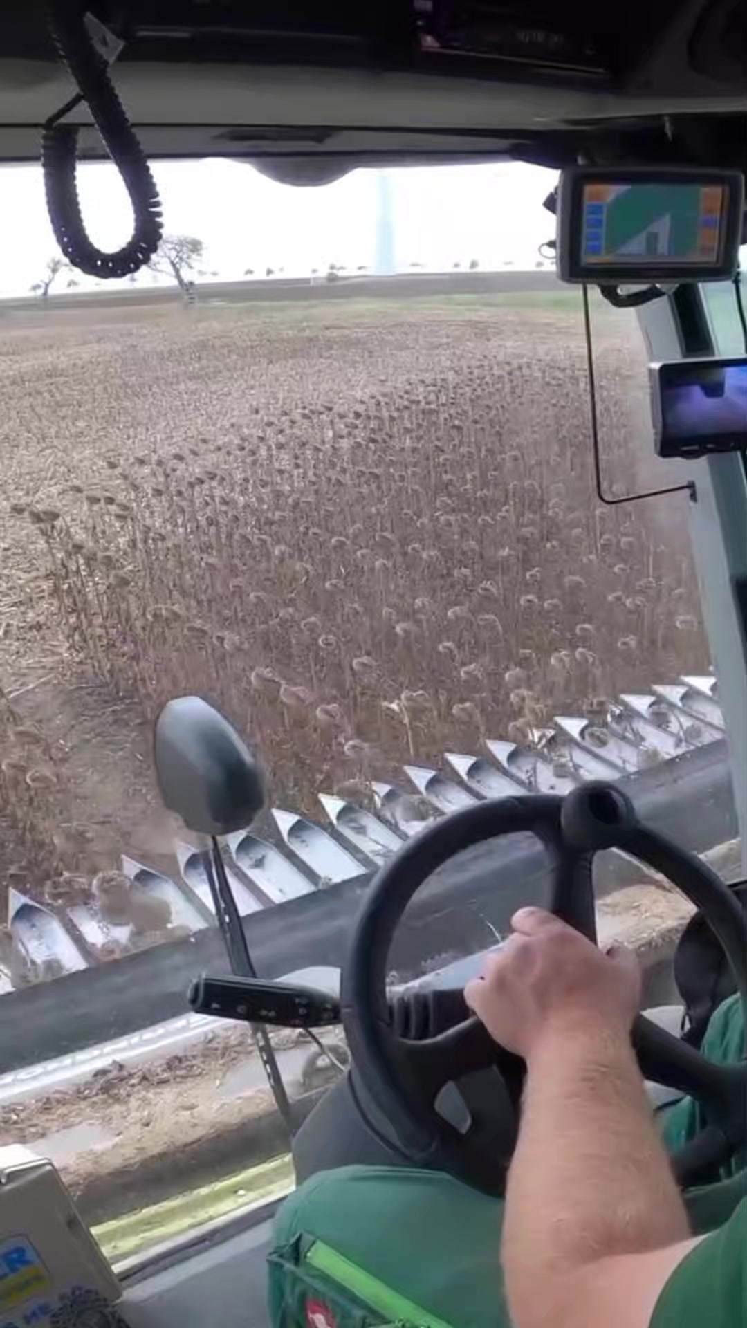 @🇺🇦🌾Agriculture🌾🇺🇦