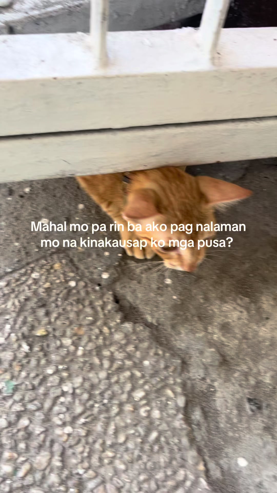 @ra