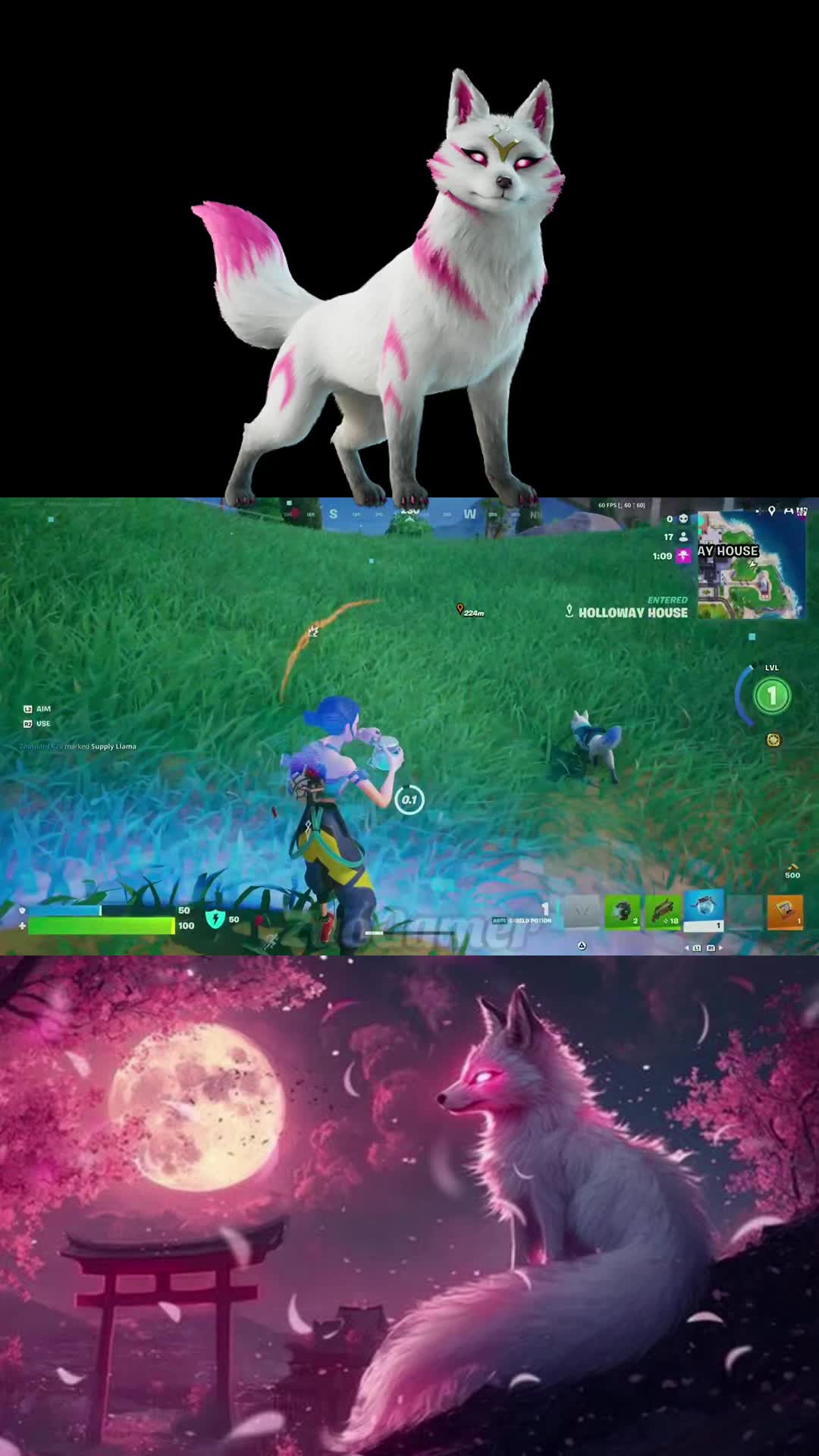 @zaogamer