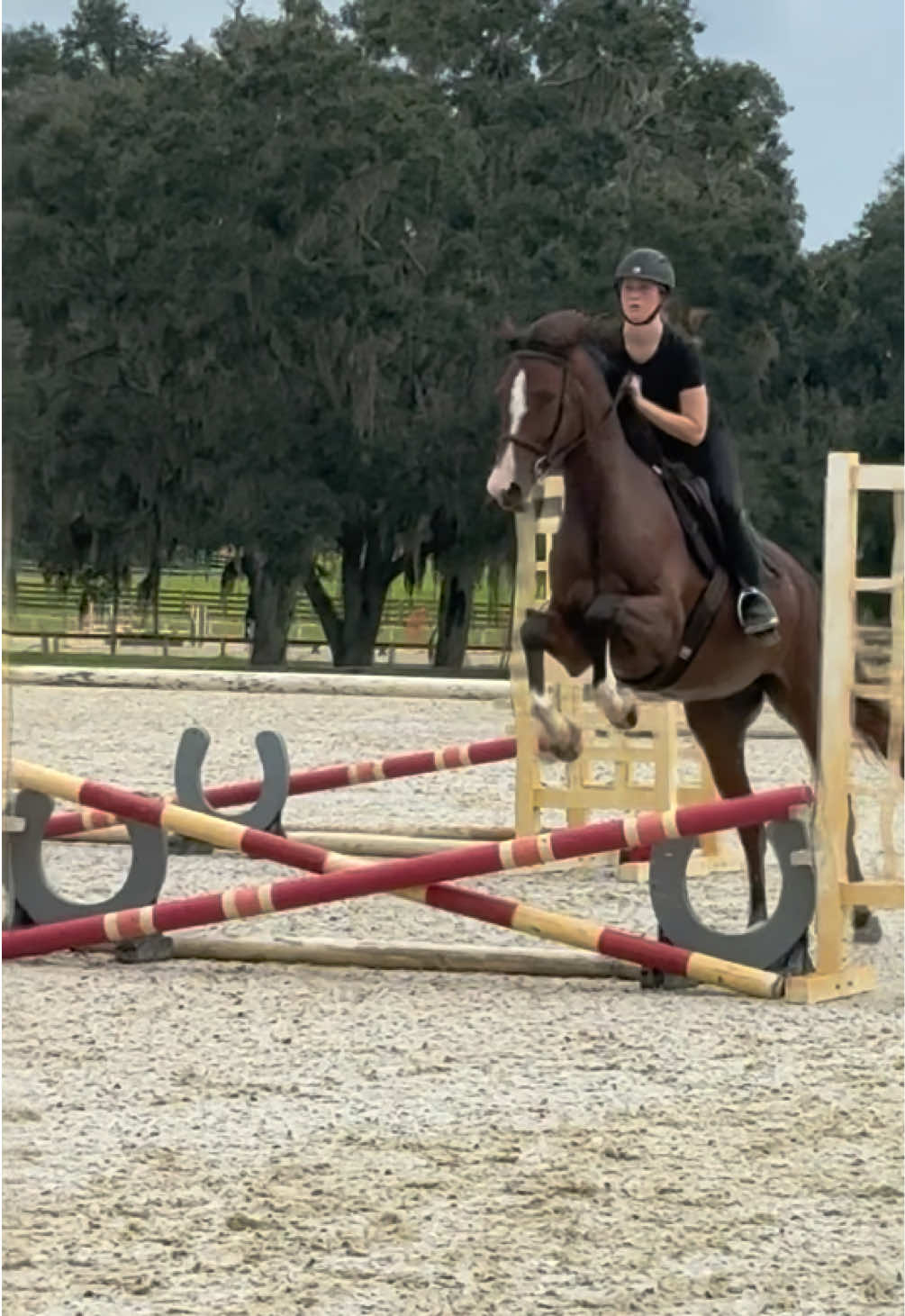 @.ktm.equestrian
