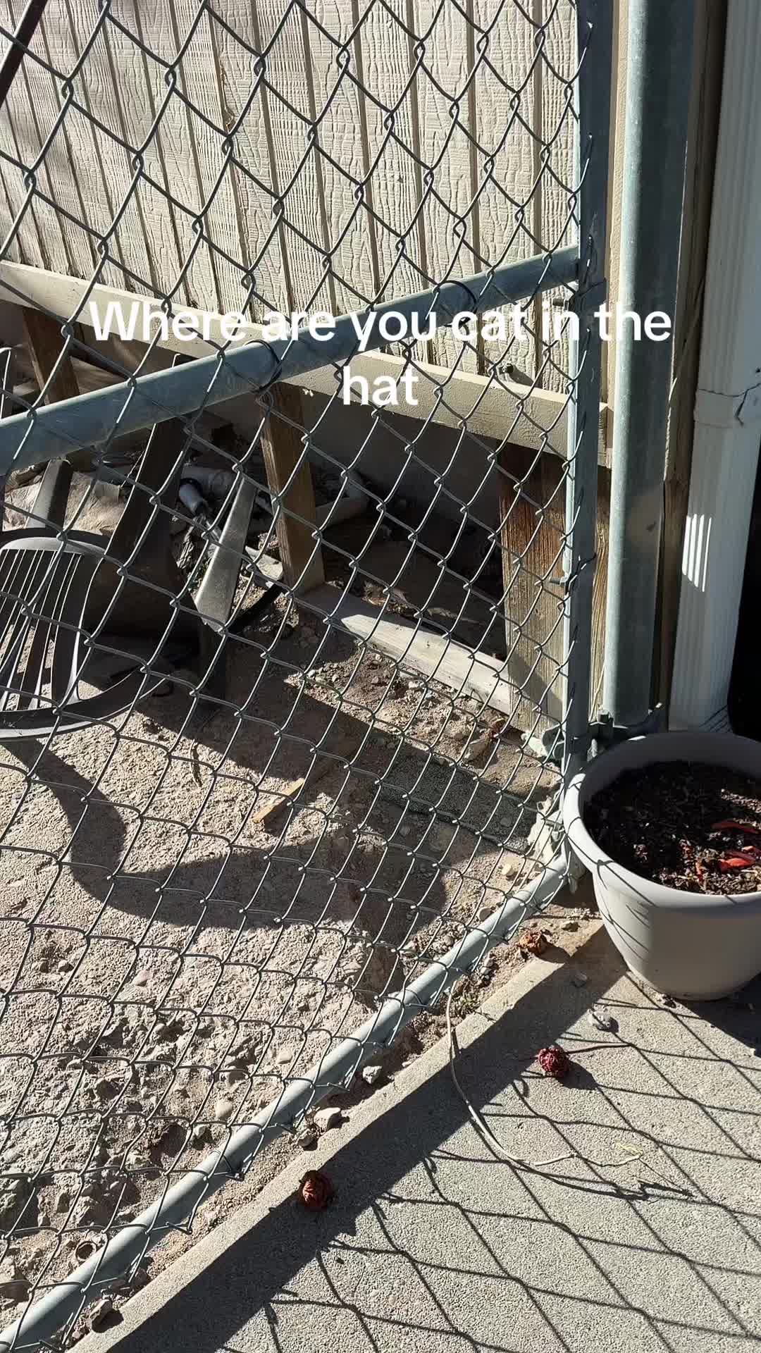 @𝓡𝓸𝓼𝓼🪽