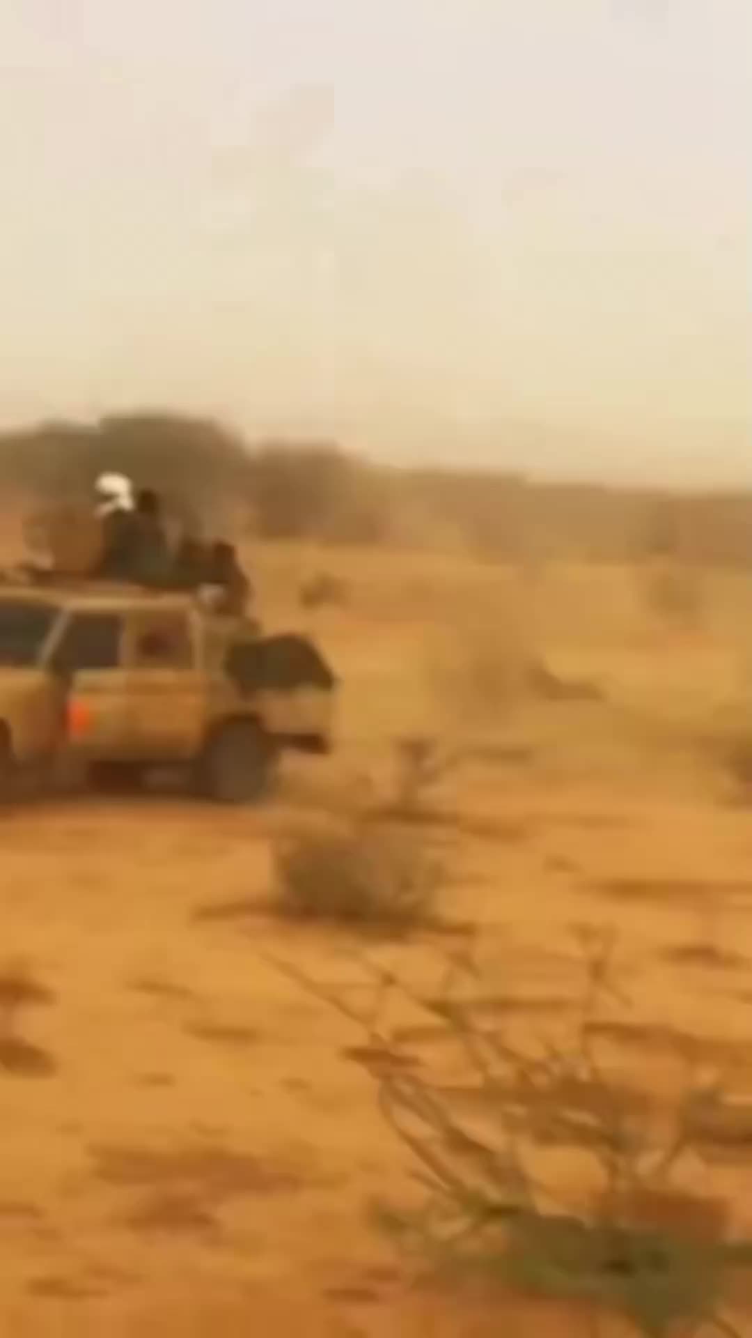 @moubarak