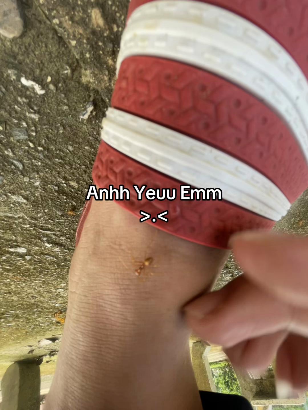 @Tiến Lợi 🥰