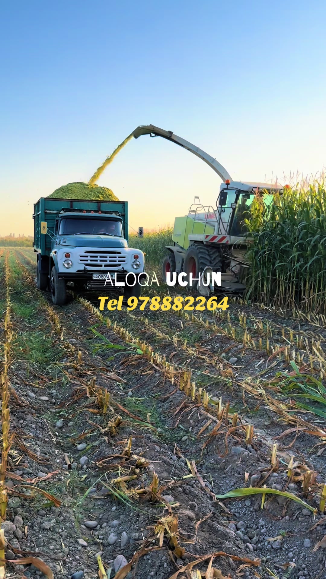 @sulton_agro