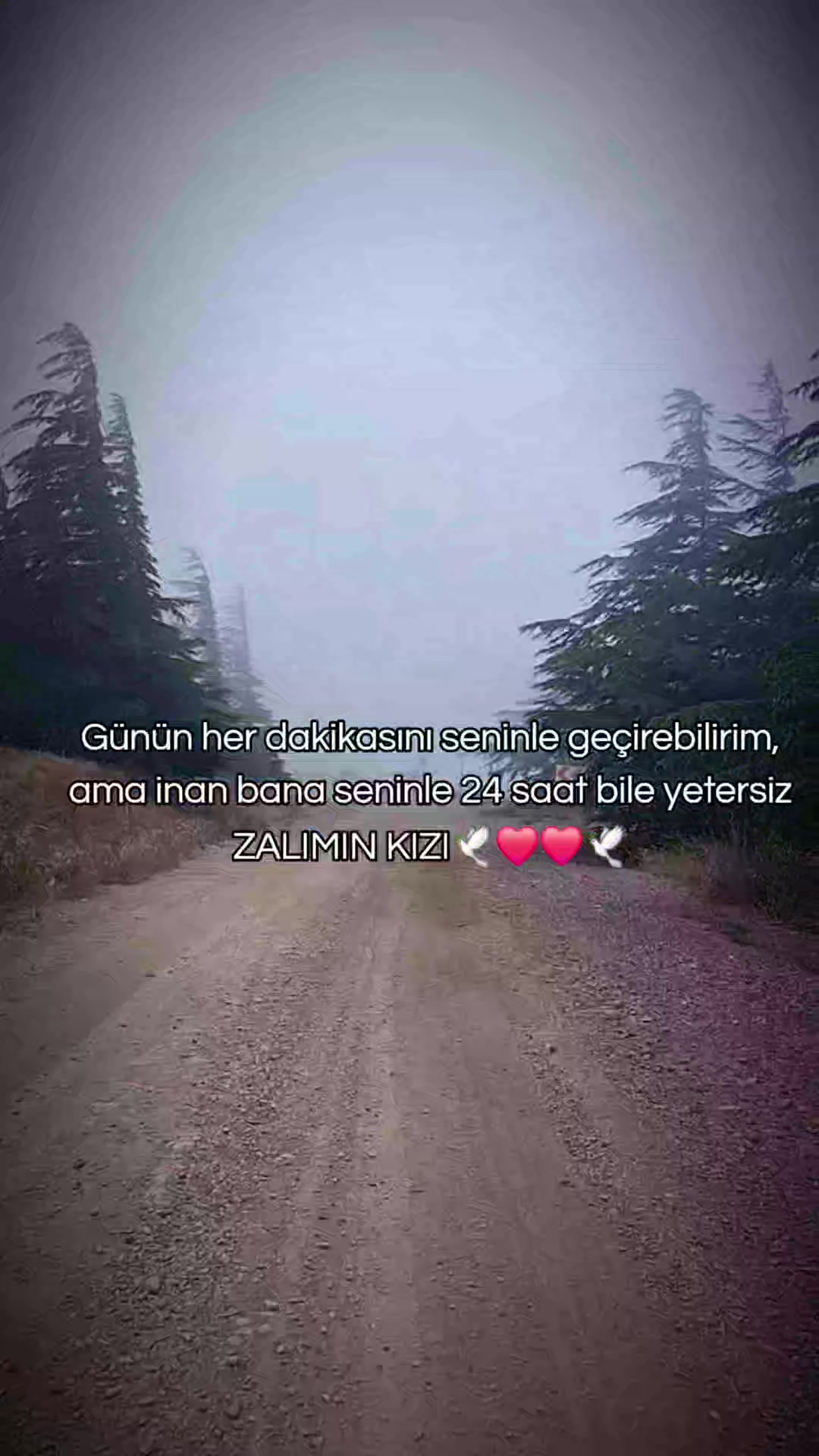 @🦂MEHMET🦂