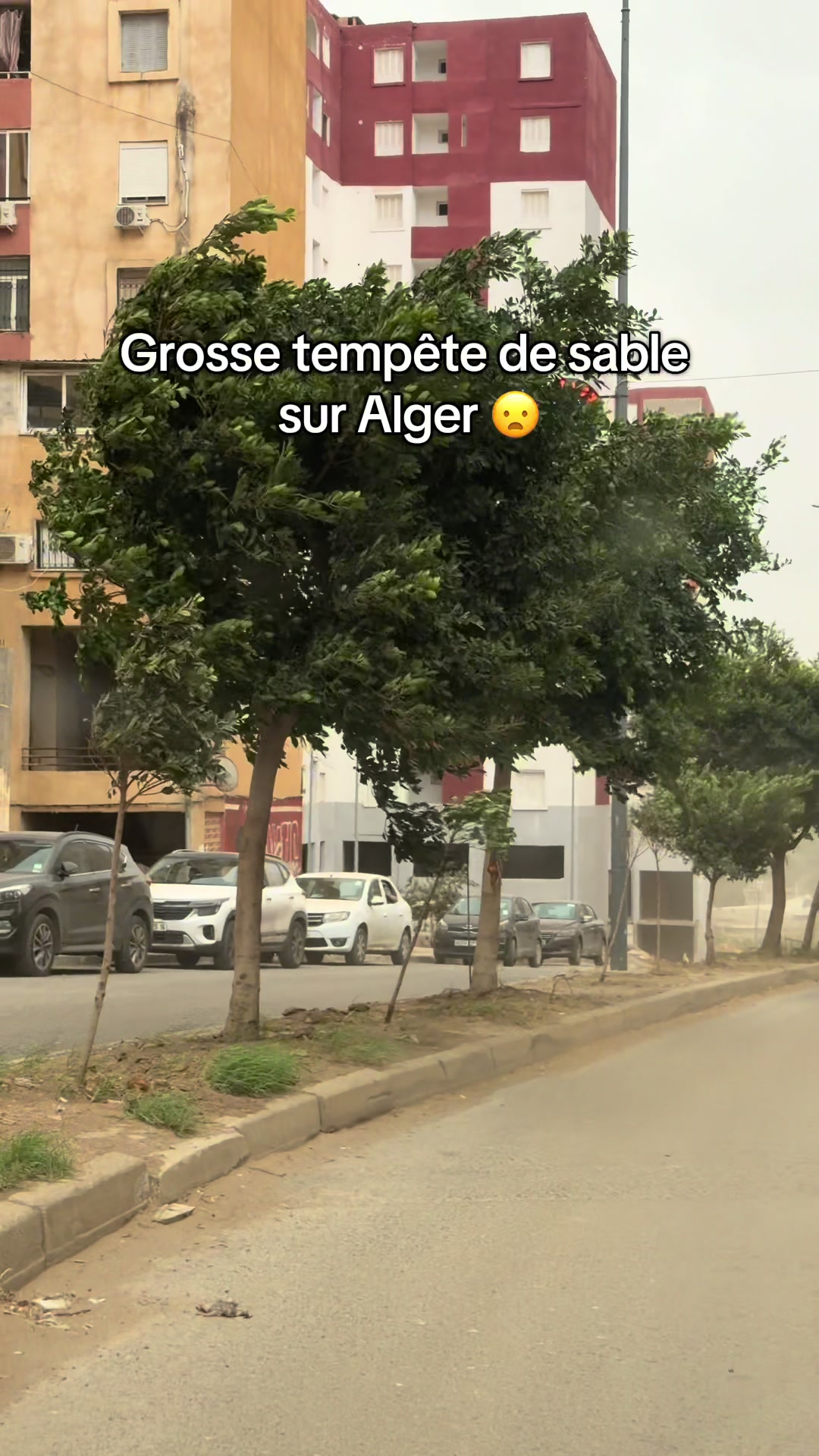 @Madin’Alger 🇲🇶✈️🇩🇿